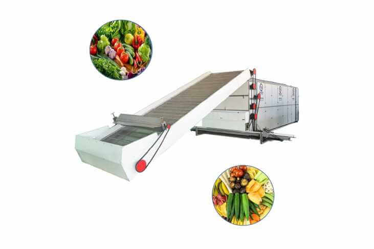 Vegetable Dryer