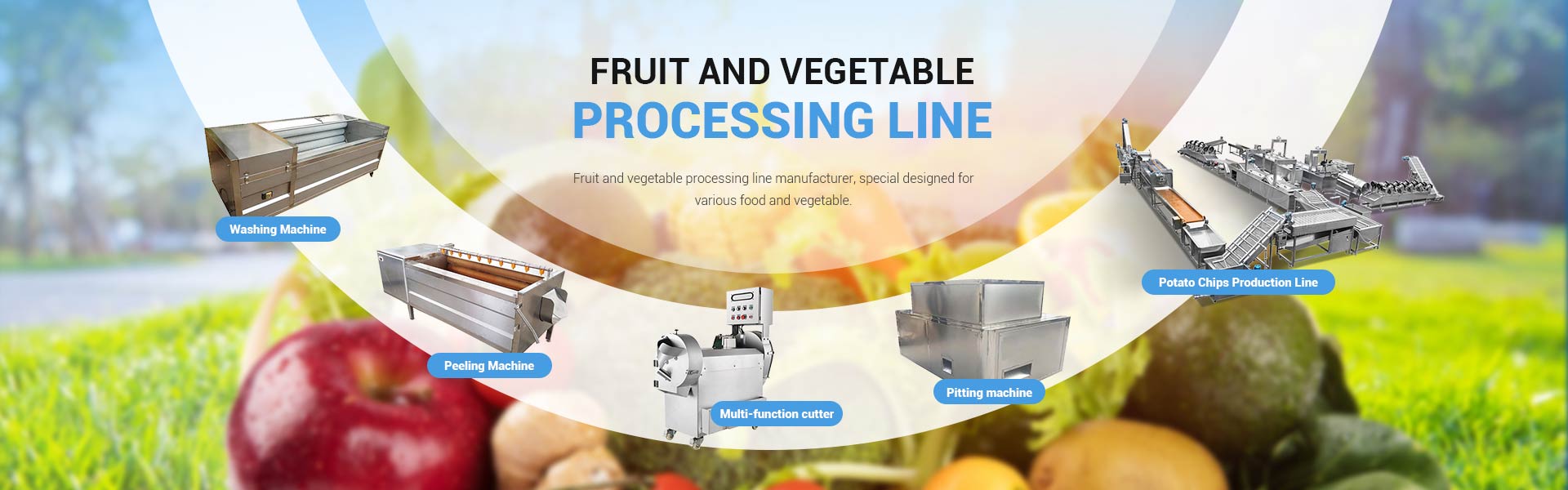 Fruit&Vegetable Drying Machine, China Famous Supplier of Fruit and Vegetable  Processing Machine