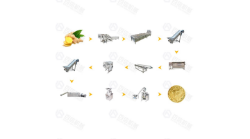 Large Output Ginger Processing Line