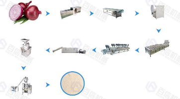 Onion Powder Processing Line