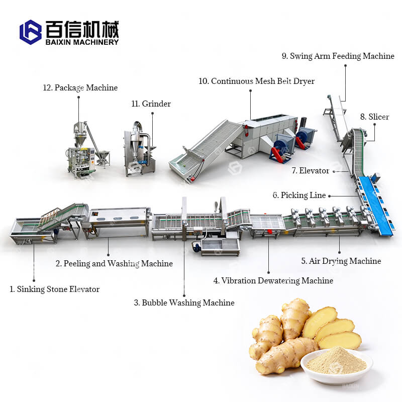 Ginger processing line 1