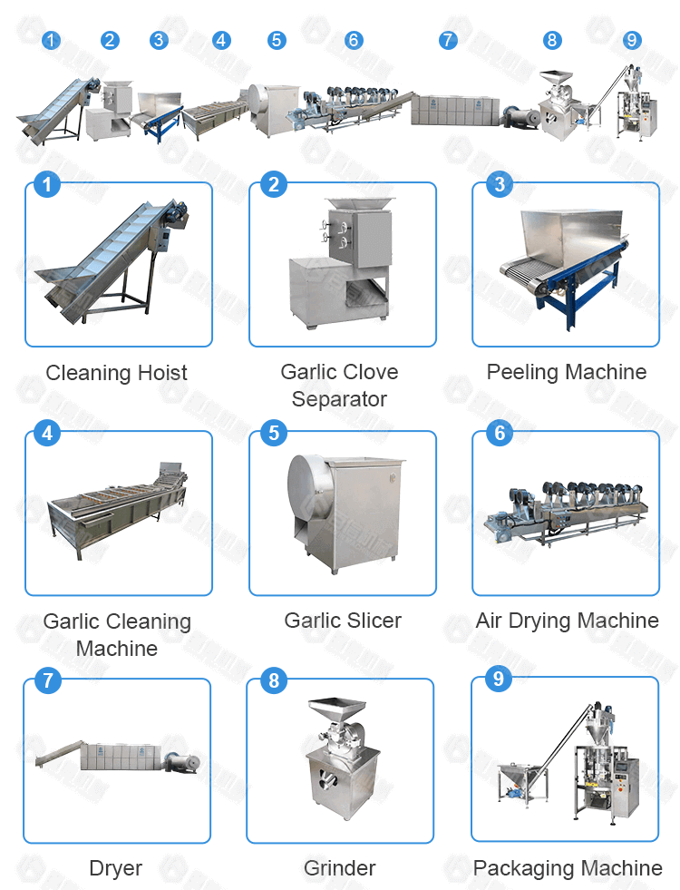 Customizable Garlic Peeling Processing Machine Line