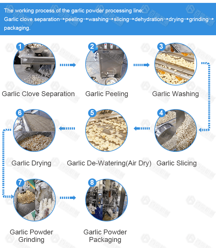 Garlic Drying Machine - Baixin