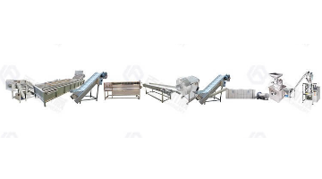 Automatic Continuous Garlic Processing Line