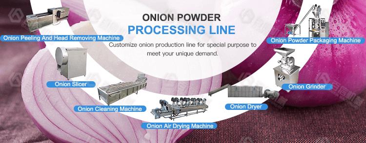 large output onion powder processing line