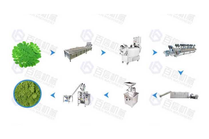 Moringa Leaf Processing Line