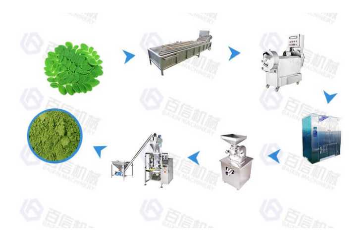 Support Customization Moringa Leaf Processing Line