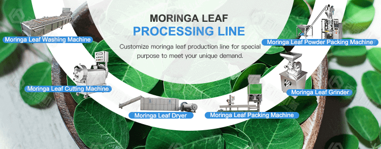 Moringa Leaf Processing Line banner
