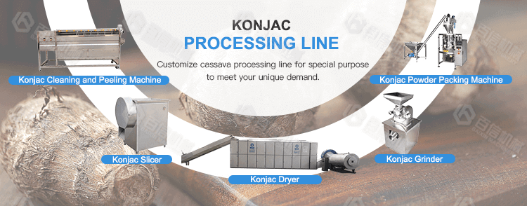 Konjac processing line