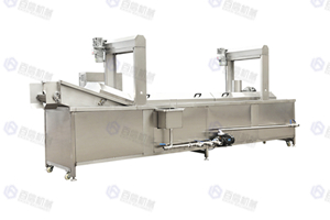 Continuous Frying Machine