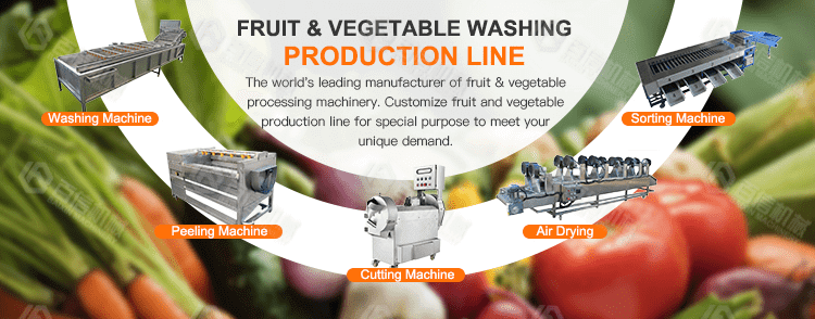 Fruit Vegetable Sorting Washing Peeling Cutting Drying Dryer Processing  Machine