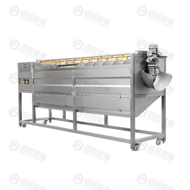 Roller Brush Washing Peeling Machine 11