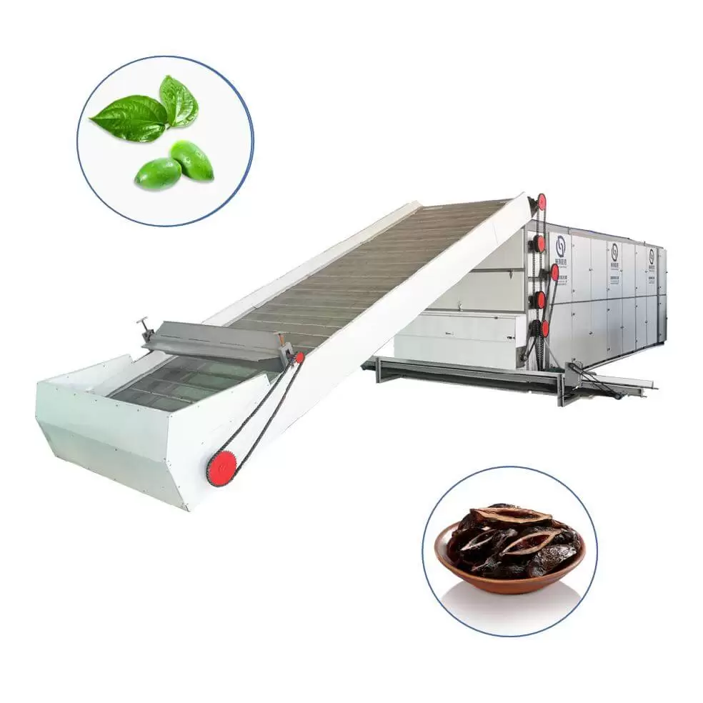 Betel nut Multi-layer Mesh Belt Dryer
