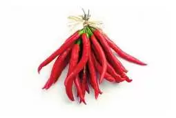 Chili Dehydration