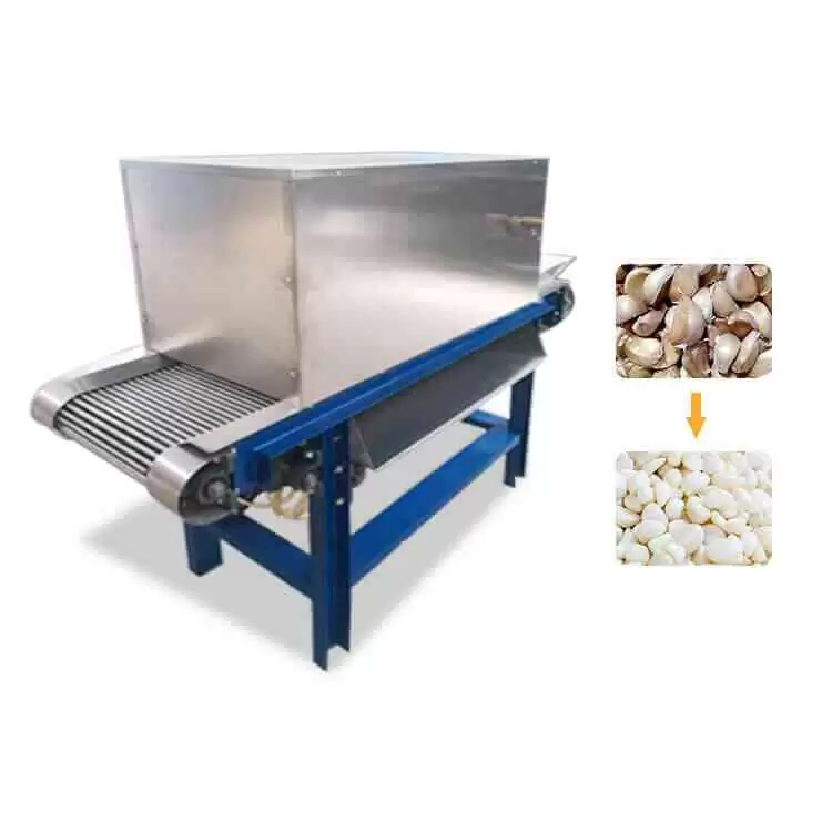 Garlic peeling4