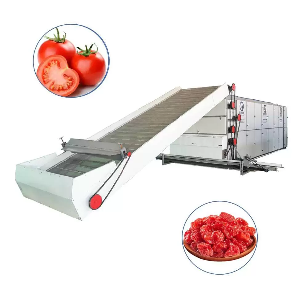 tomato Multi-layer Mesh Belt Dryer