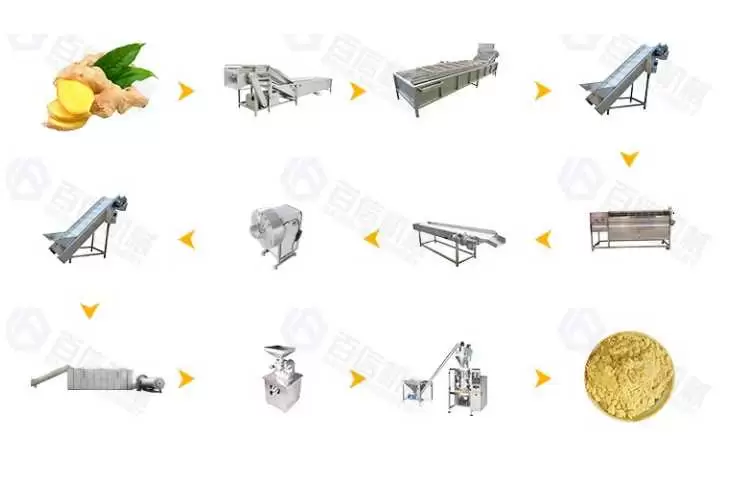 Large Output Ginger Powder Processing Line